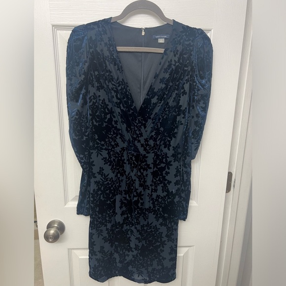 Elegant Blue Velvet Dress - Picture 1 of 4